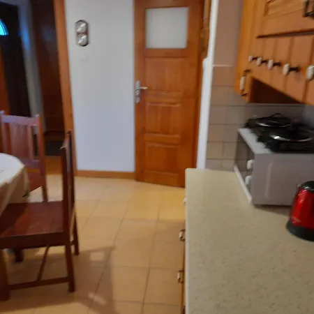 公寓 Apartament Nad Jeziorem 雷泽沃